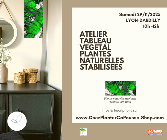 Atelier TABLEAU VEGETAL STABILISE