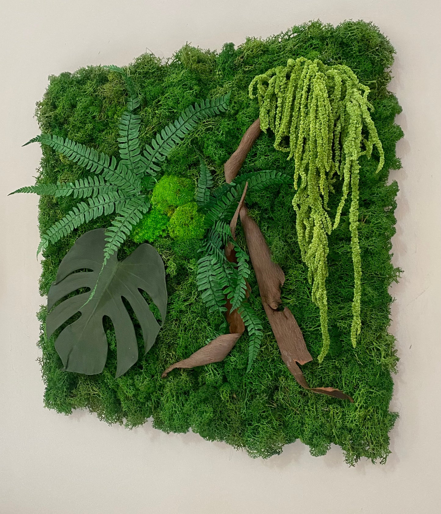 Signature Végétale 50 – Tableau végétal stabilisé relief 50x50 cm