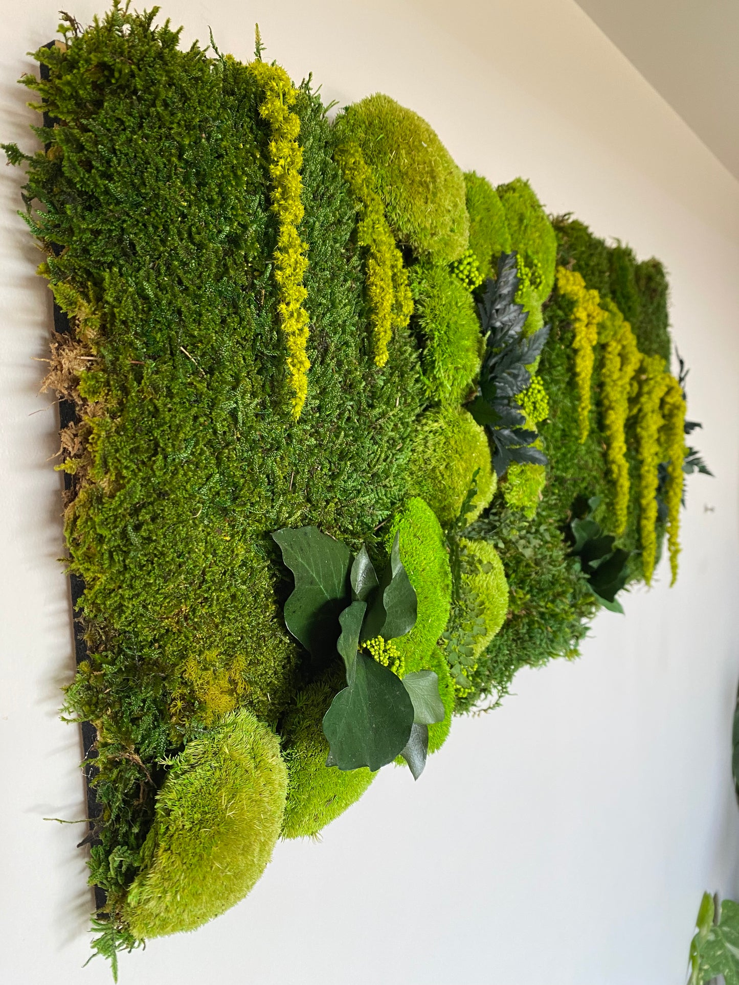 Tableau Vegetal Stabilise Forest