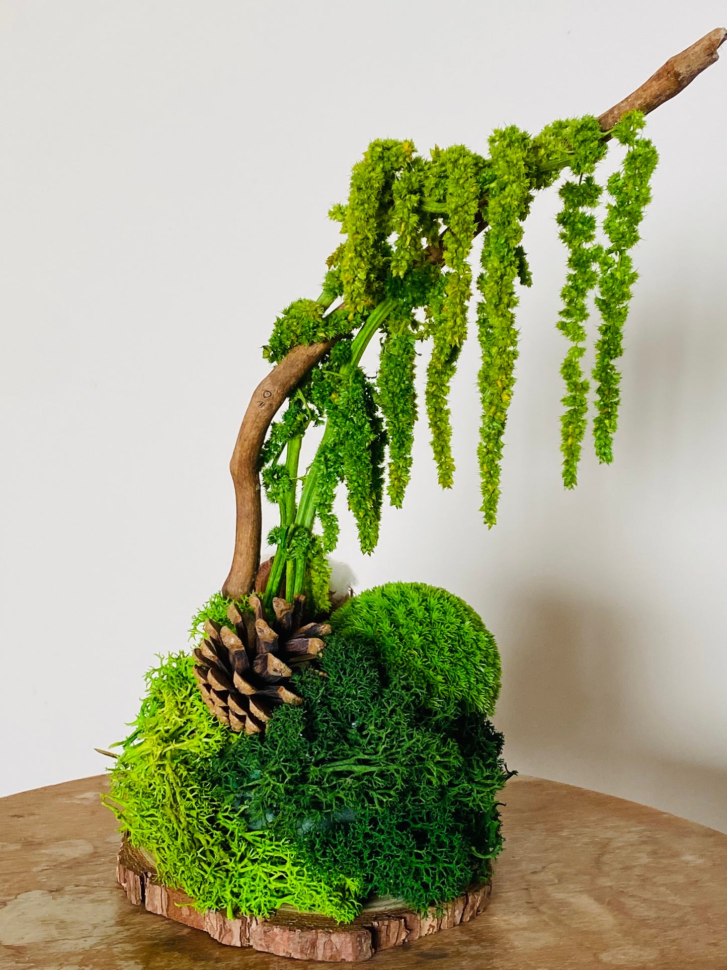 Green Wood, pièce unique fait main Lyon, 6 variétés de plantes stabilisées
