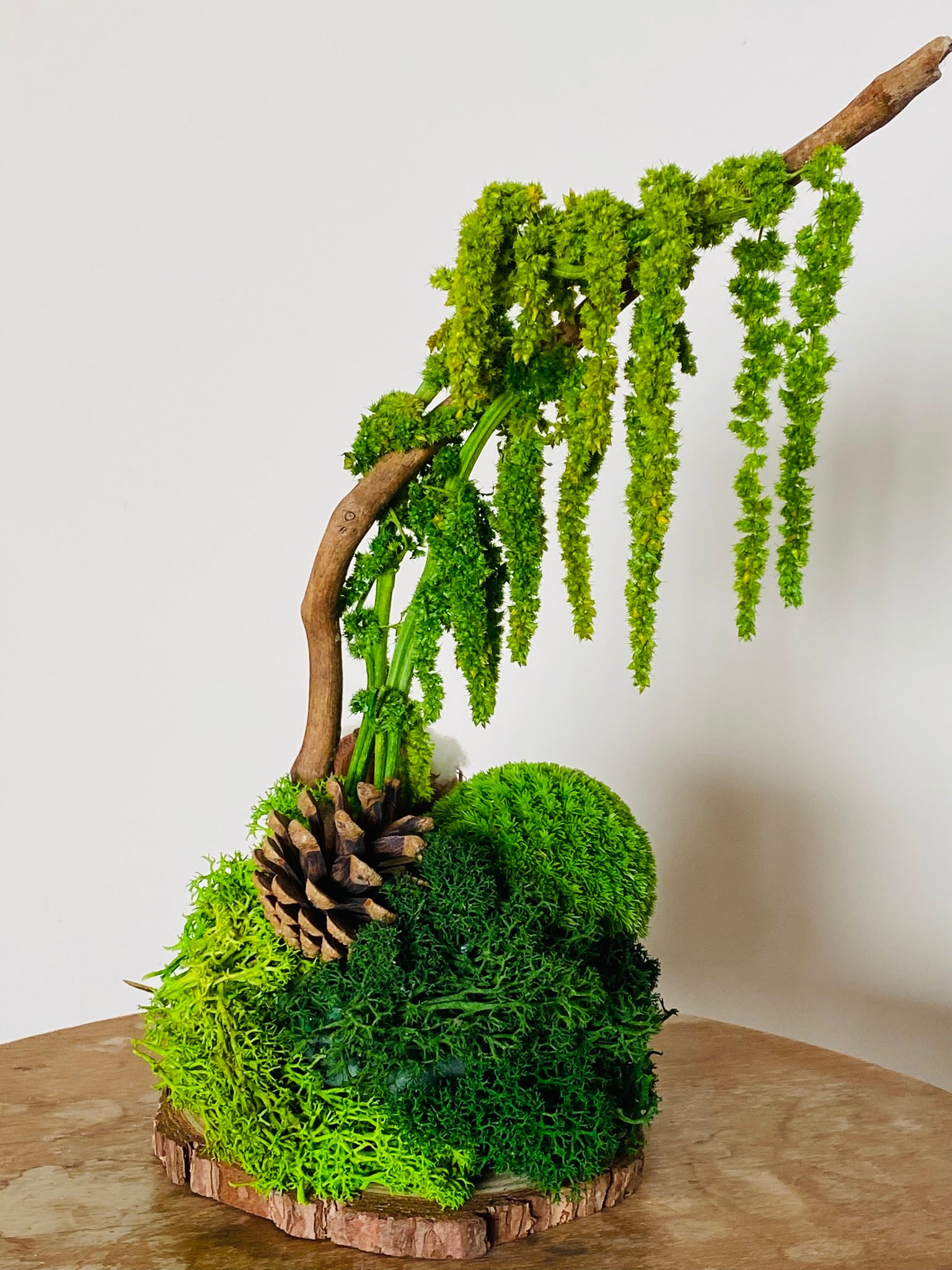 Green Wood, pièce unique fait main Lyon, 6 variétés de plantes stabilisées
