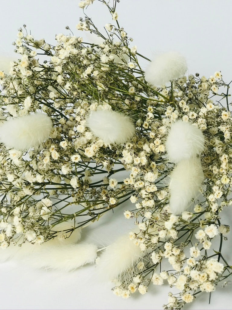 Bouquet de fleurs sechees Blanc