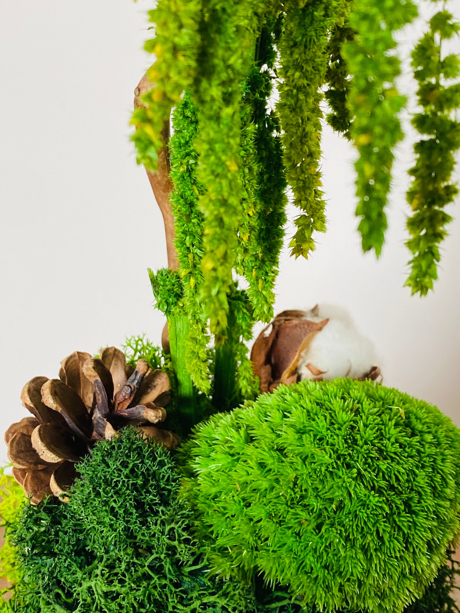 Green Wood, détail mousse boule et lichens verts stabilisés et pomme de pin
