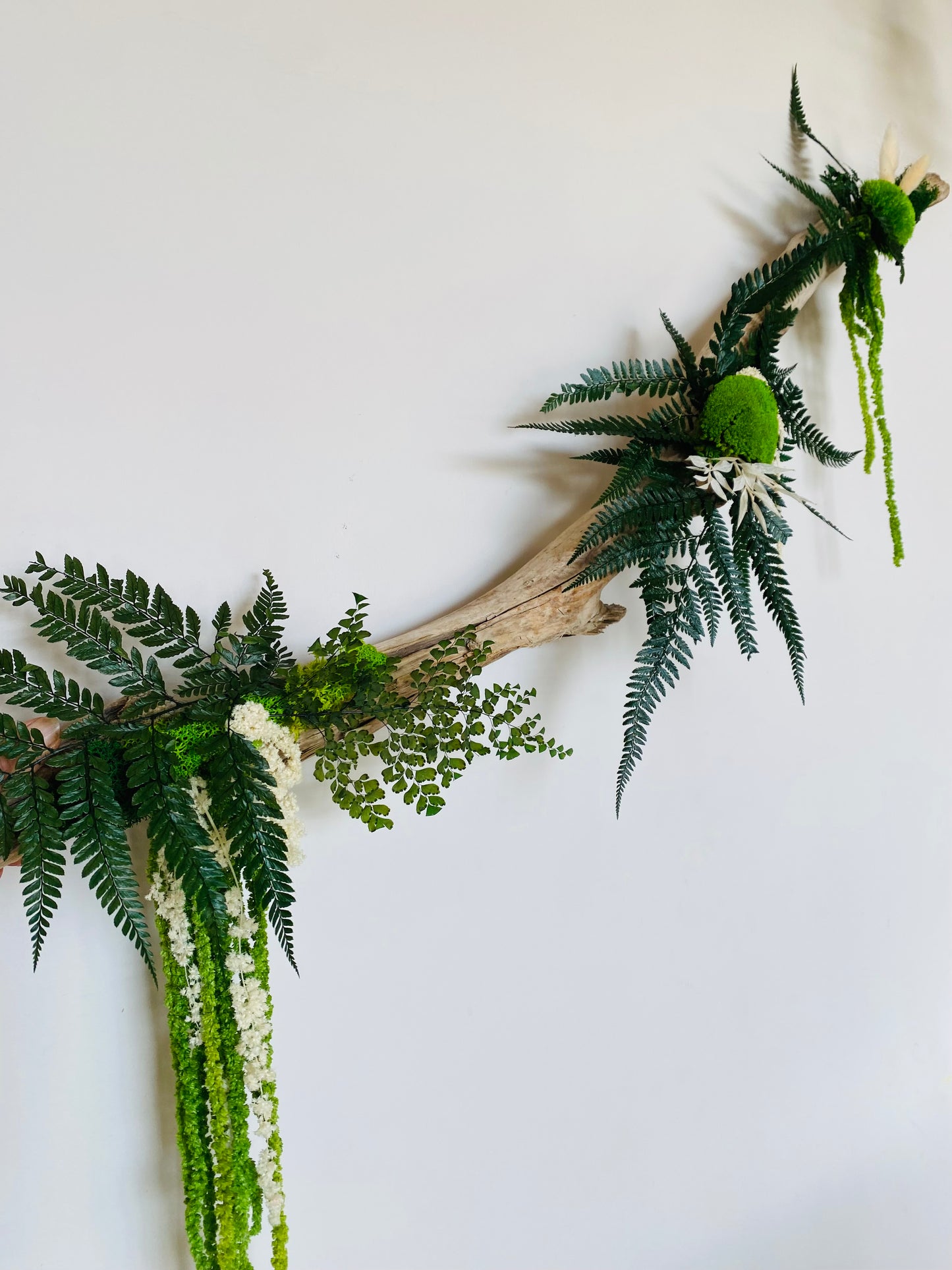 Rivage Végétal Décoration végétale stabilisée en bois flotté 100cm