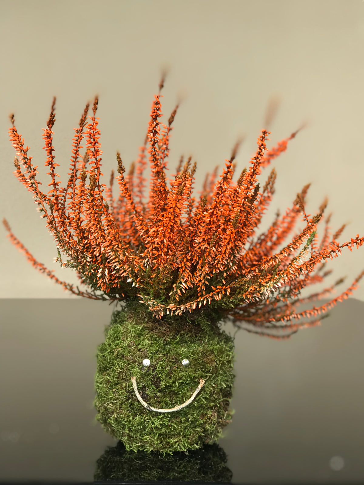 Kokedama Halloween - Osez Planter Ca Pousse