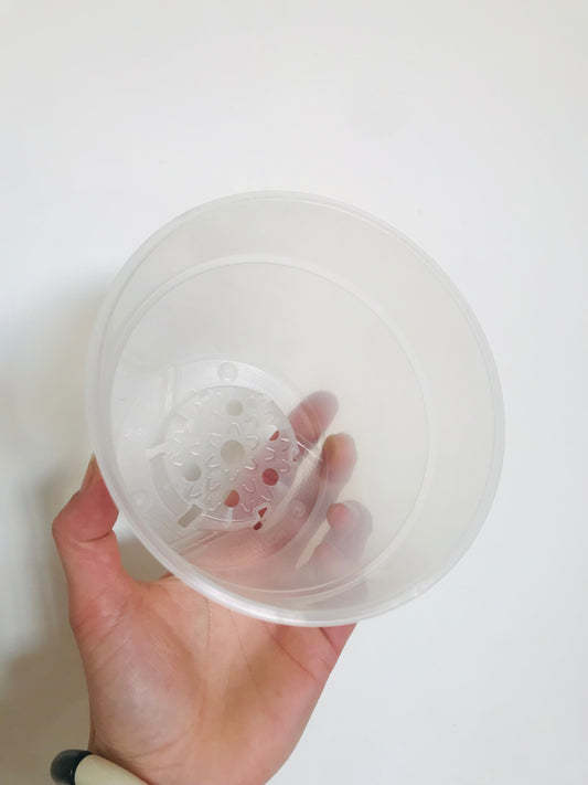 Pot de culture plastique transparent