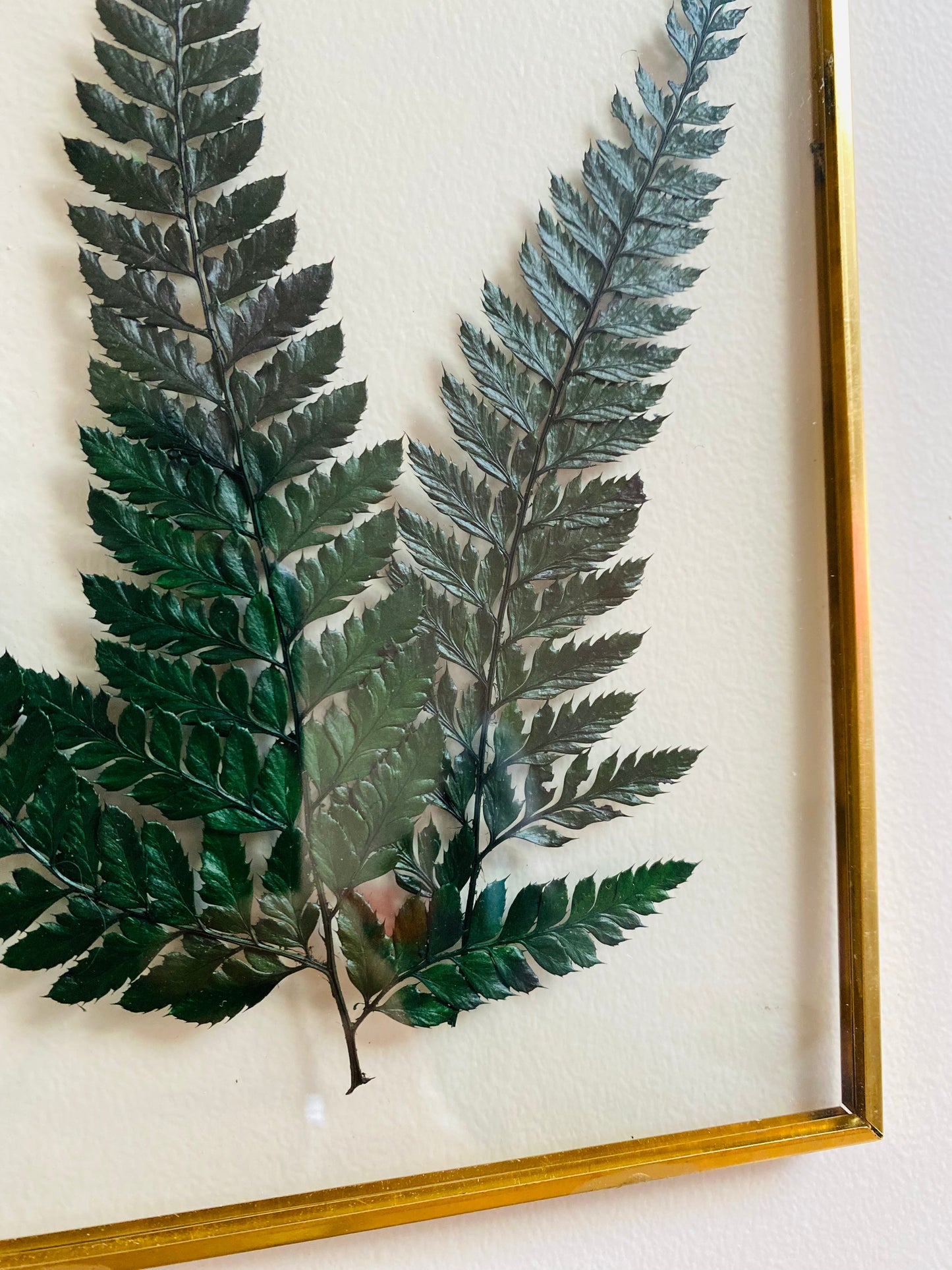 Cadre vintage en laiton doré – Fougère Stabilisée Verte