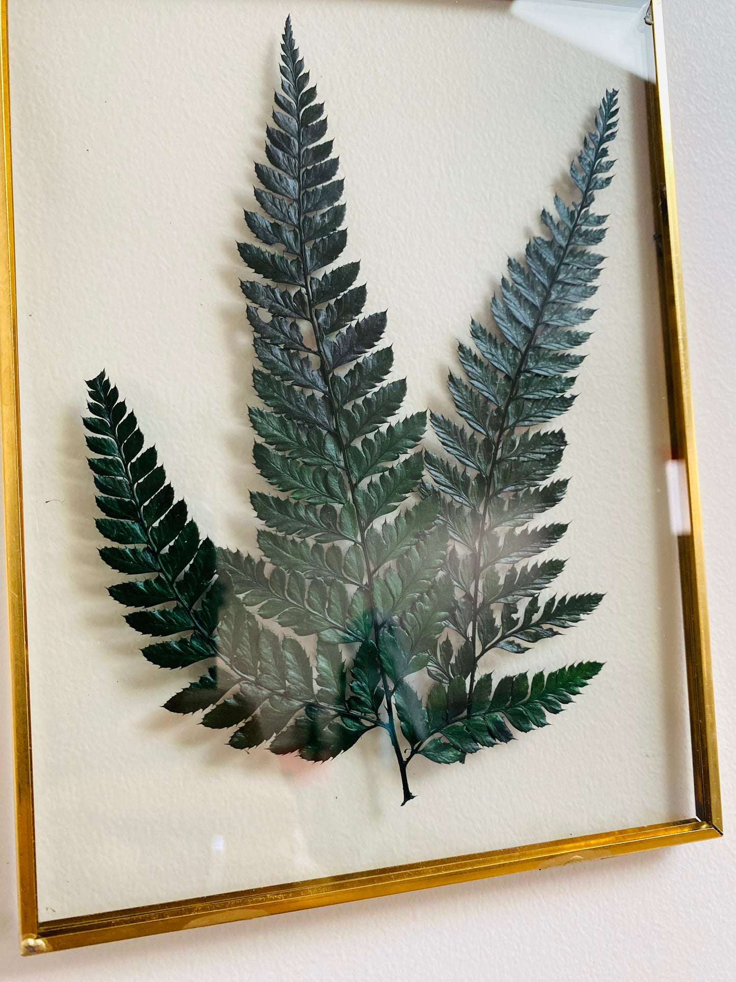 Cadre vintage en laiton doré – Fougère Stabilisée Verte