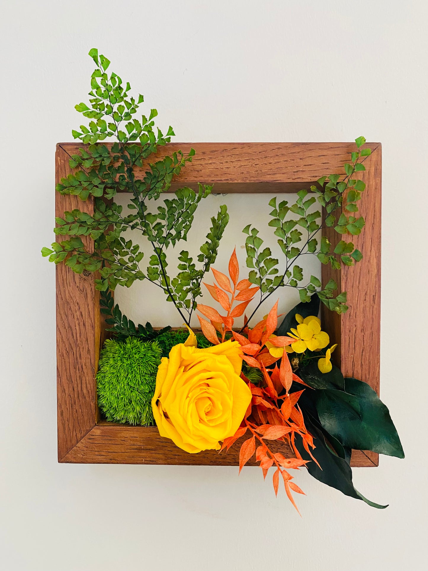 Cadre Vegetal Stabilise Chene 3D "Horizon Solaire"