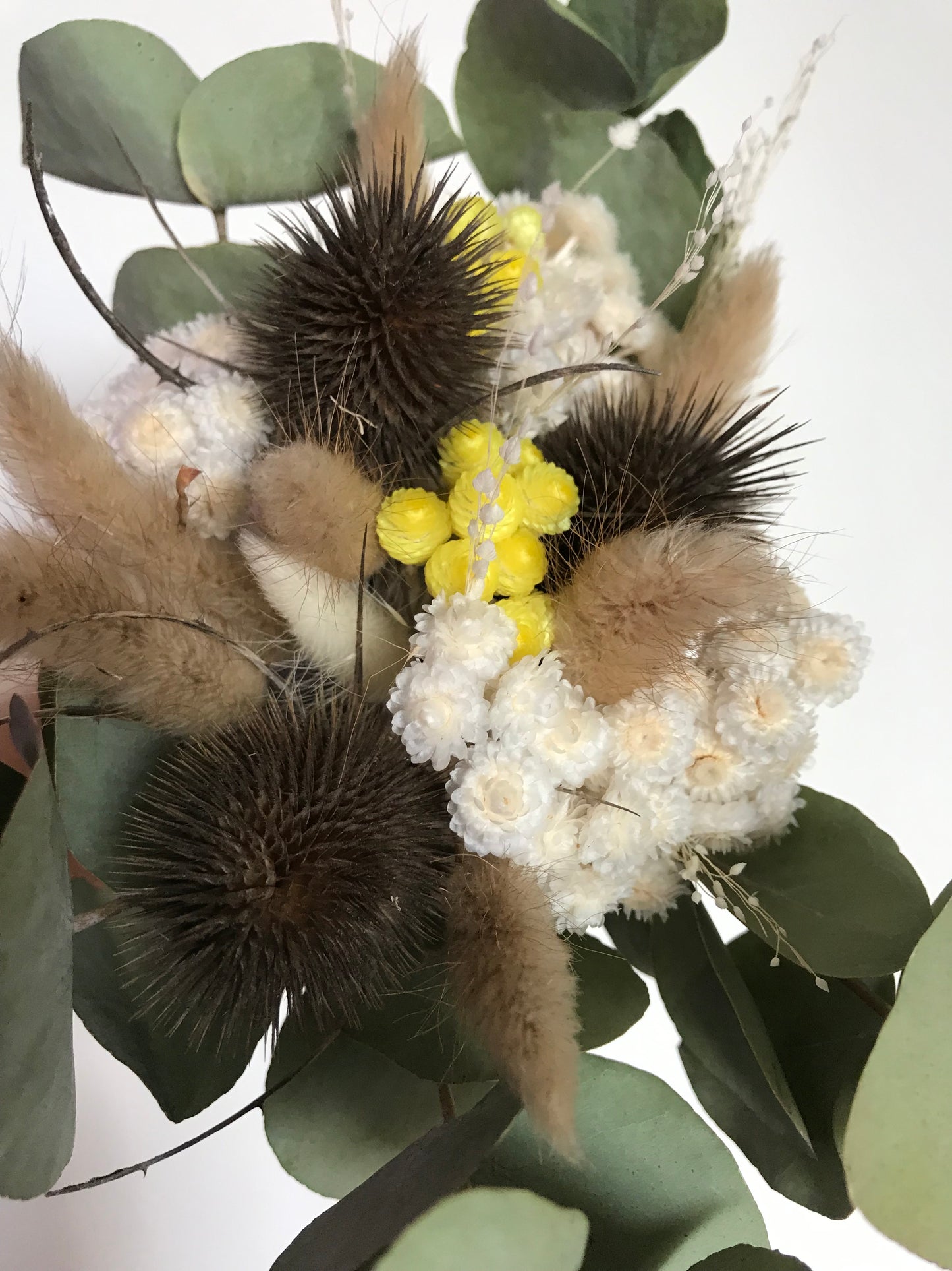 Bouquet de fleurs sechees Eucalyptus & Chardon / Jaune