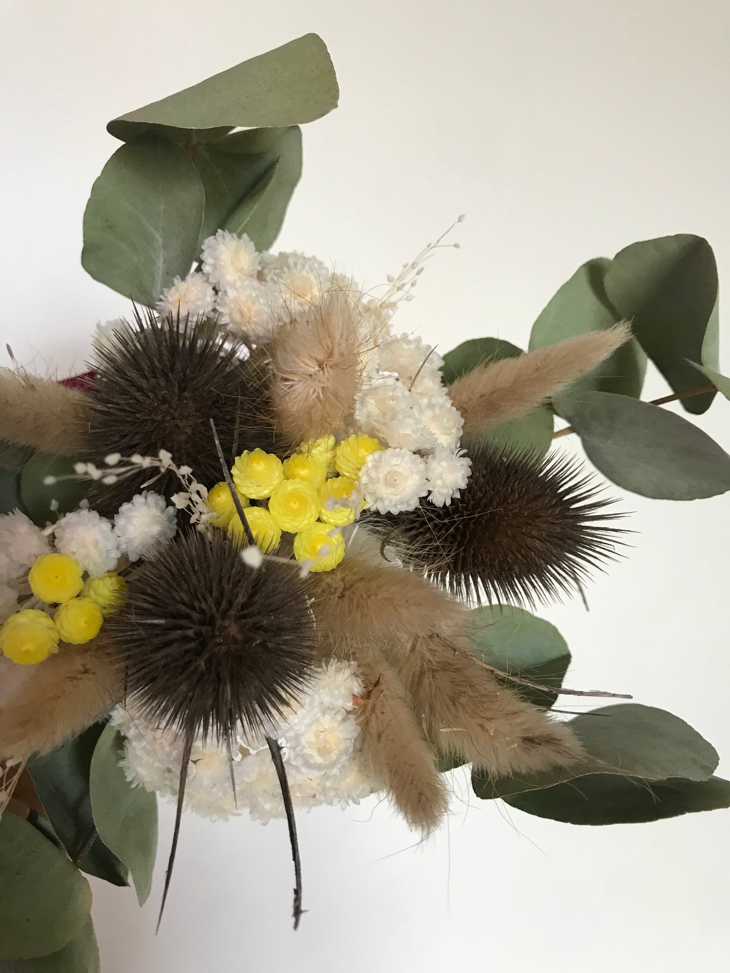 Bouquet de fleurs sechees Eucalyptus & Chardon / Jaune