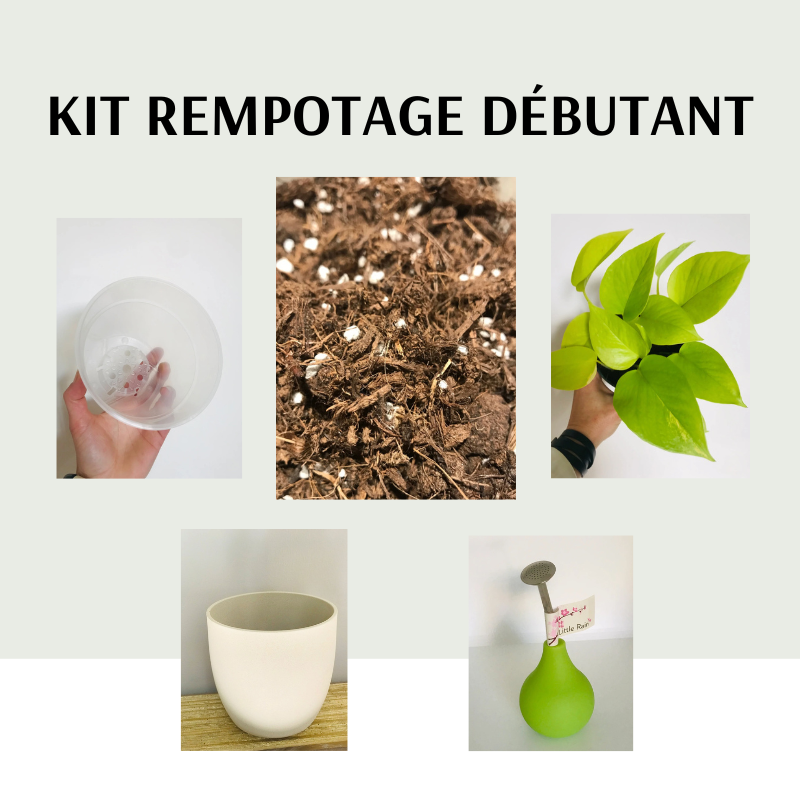 Kit Rempotage Debutant