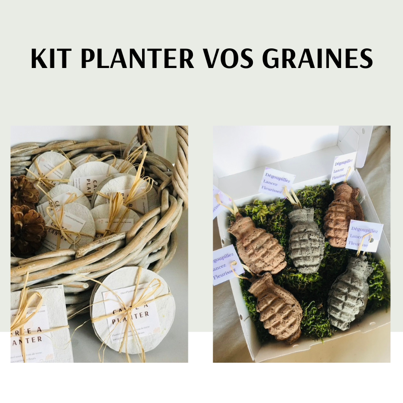 Kit Planter vos graines