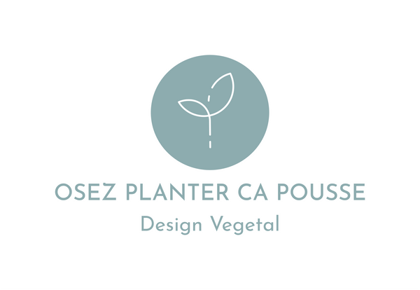 Osez Planter Ca Pousse