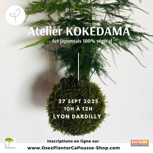 Atelier KOKEDAMA