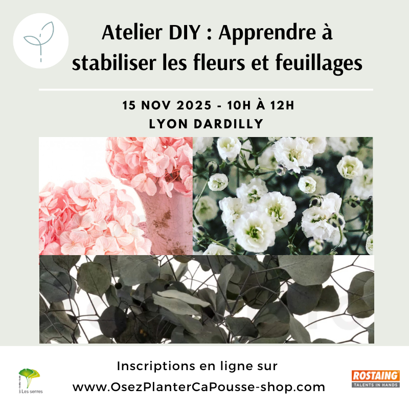 Atelier DIY : Apprendre a stabiliser les Fleurs et Feuillages