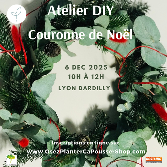 Atelier Couronne de NOEL
