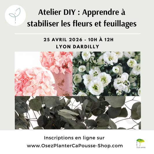 Atelier DIY : Apprendre a stabiliser les Fleurs et Feuillages