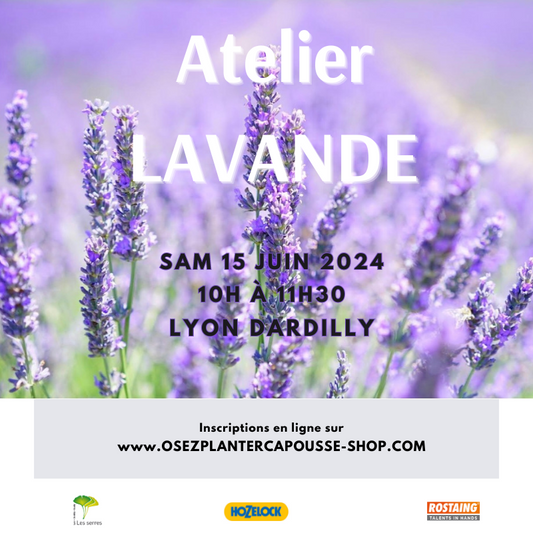 Atelier LAVANDE 15/06/2024