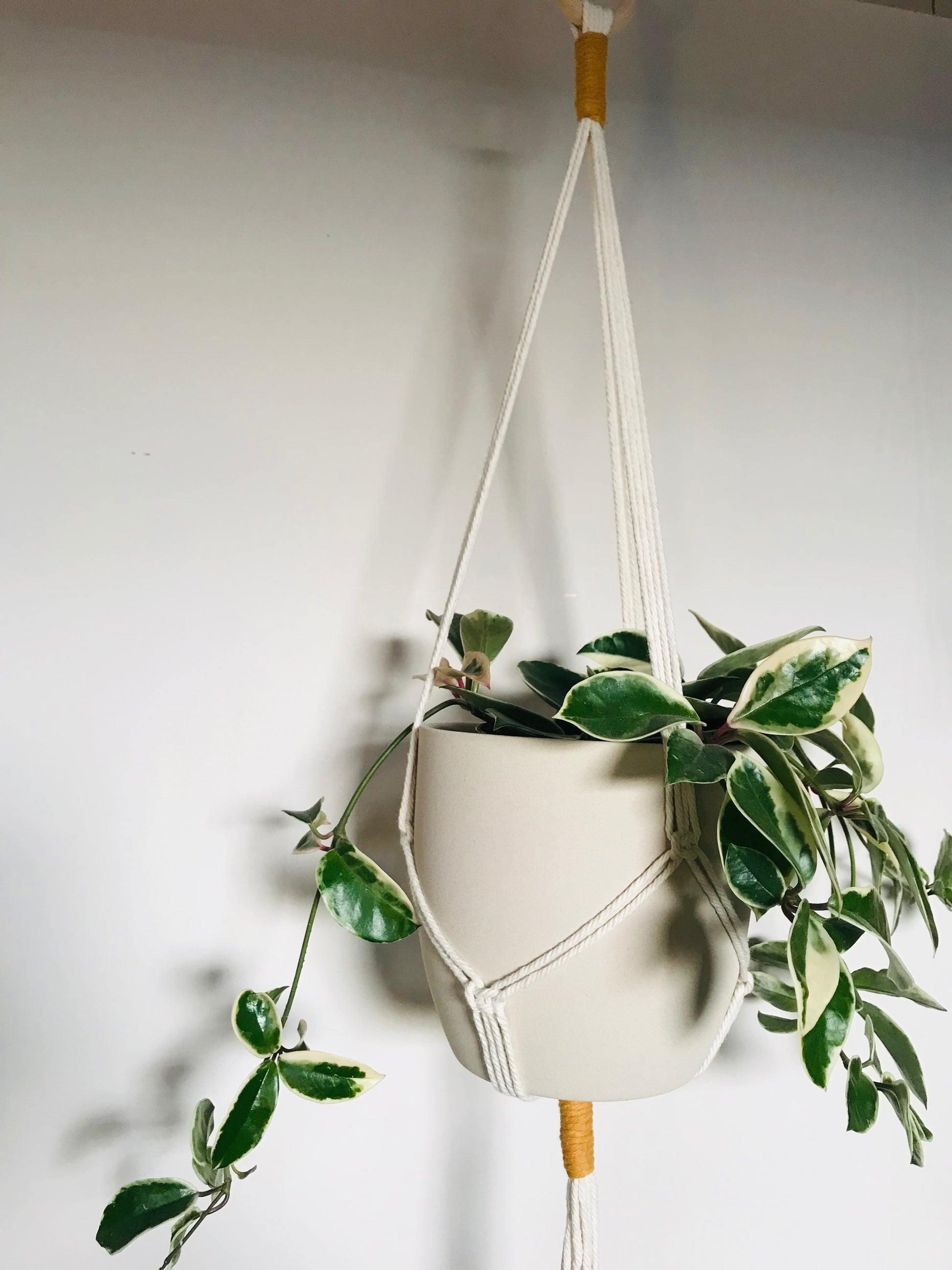 Comment créer une suspension en macramé Comment créer une suspension en macramé