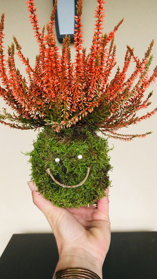 Kokedama Halloween